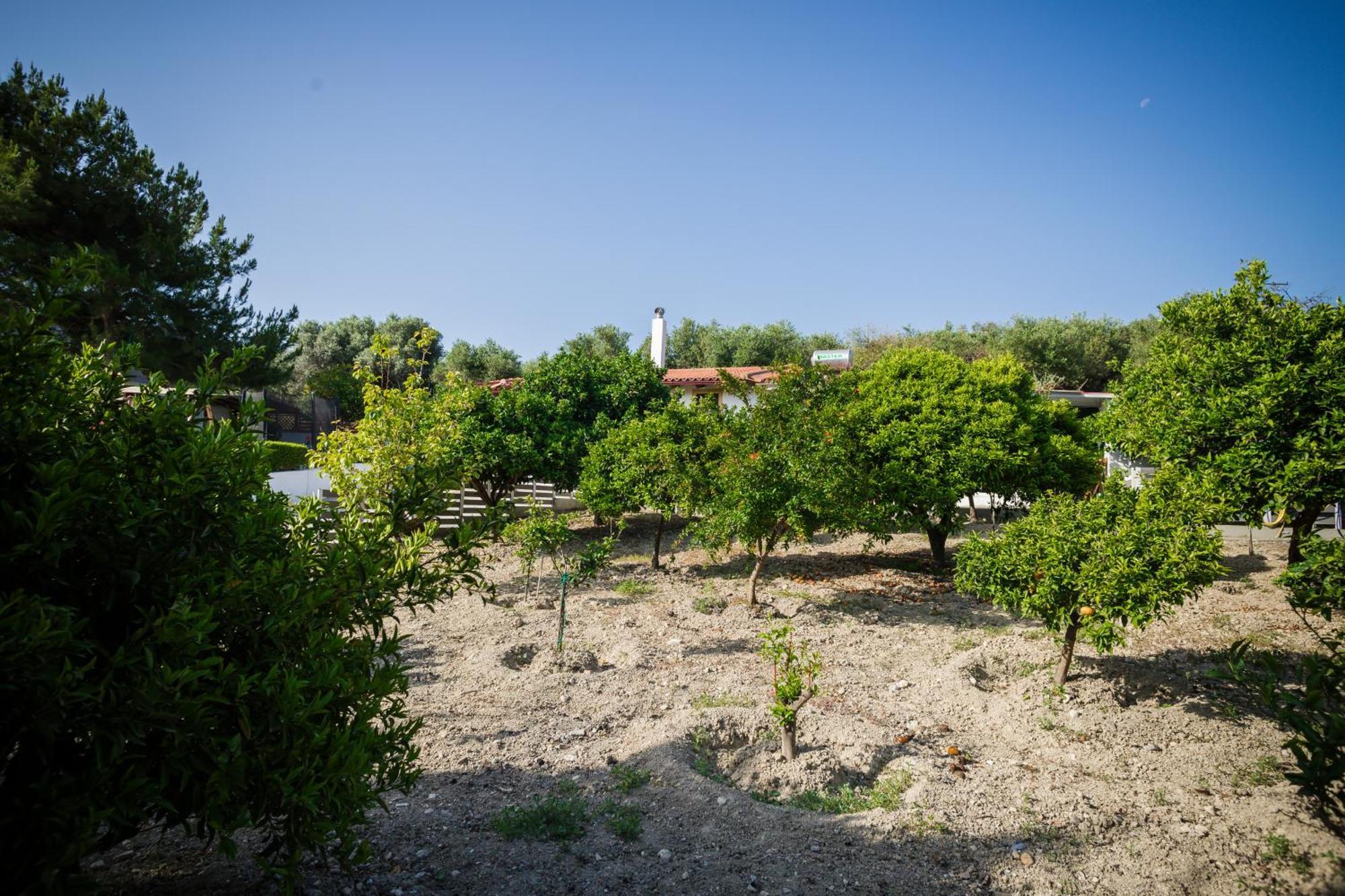 Villa Metochi Rethymno Exteriör bild